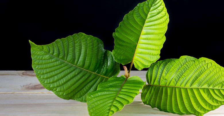 top rated kratom